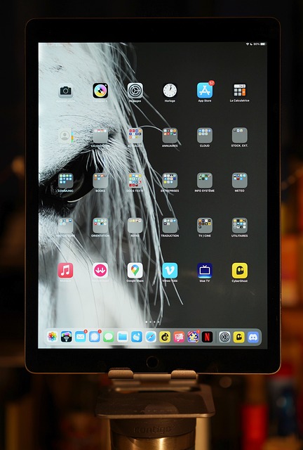 digital illustration tablet stylus